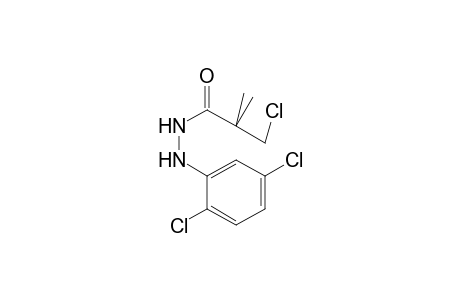 Propanoic acid, 3-chloro-2,2-dimethyl-, 2-(2,5-dichlorophenyl)hydrazide