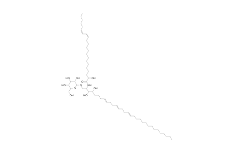 HexCer 31:3;3O/22:2;(2OH)