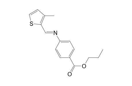 4-[(3-Methyl-thiophen-2-ylmethylene)-amino]-benzoic acid propyl ester