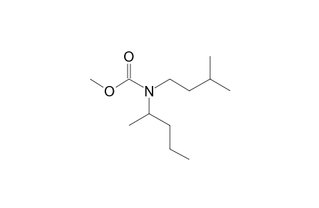 Carbonic acid, monoamide, N-(2-pentyl)-N-(3-methylbutyl)-, methyl ester