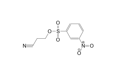 2-cyanoethyl 3-nitrobenzenesulfonate