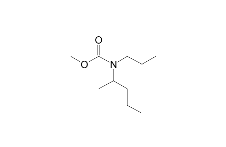 Carbonic acid, monoamide, N-(2-pentyl)-N-propyl-, methyl ester