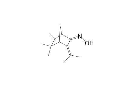 3-Isopropylideneisocamphanone oxime