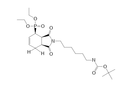 DIETHYL-2-(6-TERT.-BUTYLHEXYLCARBAMOYL)-1,3-DIOXO-2,3,3A,4,7,7A-HEXAHYDRO-1H-ISOINDOLE-4-PHOSPHONATE