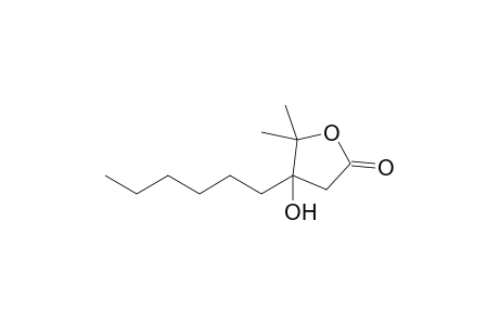 4-hexyl-4-hydroxy-5,5-dimethyloxolan-2-one