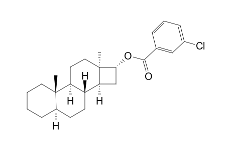 Cyclobuta[a]phenanthrene, D-norandrostan-16-ol deriv.