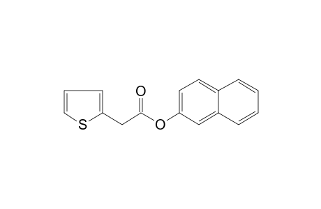 2-Thiopheneacetic acid, 2-naphthyl ester