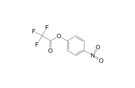 trifluoroacetic acid, p-nitrophenyl ester