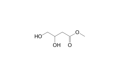 3,4-dihydroxybutyric acid methyl ester