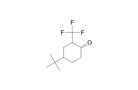 4-(TERT.-BUTYL)-2-TRIFLUOROMETHYL-CYCLOHEXANONE;MAJOR-ISOMER