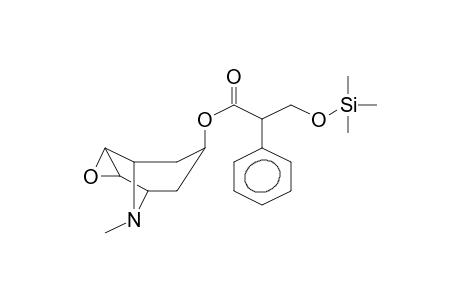 Scopolamine TMS