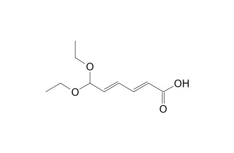 (2E,4E)-6,6-Diethoxyhexa-2,4-dienoic acid