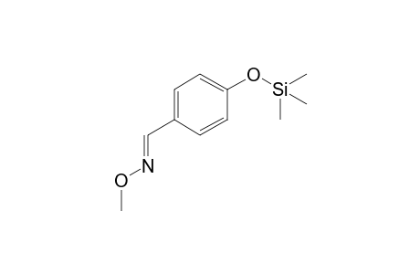 4-Hydroxybenzaldehyde, 1TMS, 1MEOX