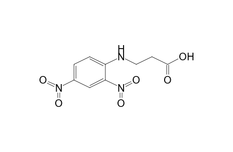 3-(2,4-Dinitroanilino)propanoic acid