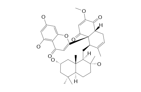 DICHROSTACHINE_F