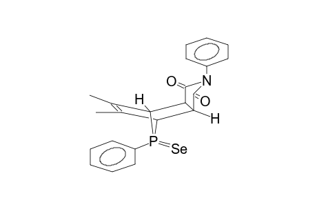 5,6-DIMETHYL-2,8ANTI-PHENYL-3A,4,7,7A-TETRAHYDRO-4,7-PHOSPHINIDEN-ISOINDOLE-1,3-DIONE-8-SELENIDE