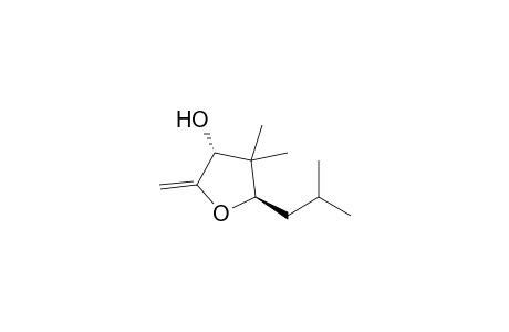 (3R,5R)-4,4-dimethyl-2-methylene-5-(2-methylpropyl)-3-oxolanol