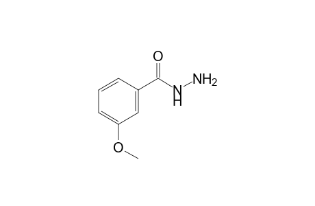 m-Anisic hydrazide