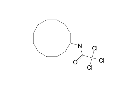 2,2,2-trichloro-N-cyclododecyl-acetamide