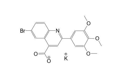 potassium 6-bromo-2-(3,4,5-trimethoxyphenyl)-4-quinolinecarboxylate