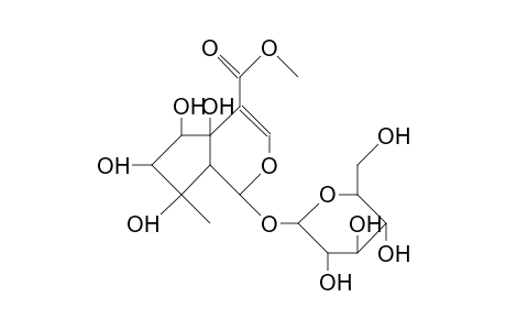 Phlomiol