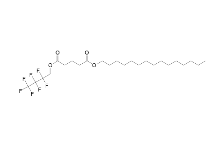 Glutaric acid, 2,2,3,3,4,4,4-heptafluorobutyl pentadecyl ester