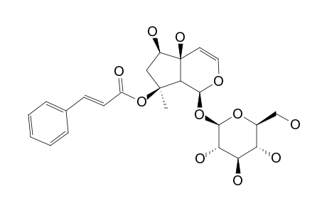 8-O-CINNAMOYLHARPAGIDE