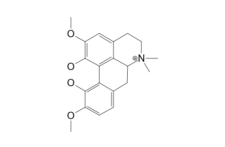 Magnoflorine