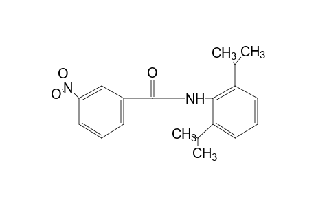2',6'-diisopropyl-3-nitrobenzanilide