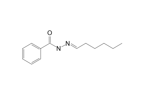 1-Benzoyl-2-hexylidenehydrazine