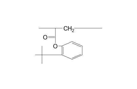 Poly(o-tert-butylphenyl acrylate)