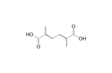 2,5-Dimethyl-2,4-hexadienedioic acid