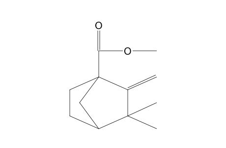 3,3-DIMETHYL-2-METHYLENE-1-NORBORNANECARBOXYLIC ACID, METHYL ESTER