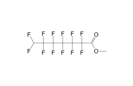 Methyl 2,2,3,3,4,4,5,5,6,6,7,7-dodecafluoroheptanoate