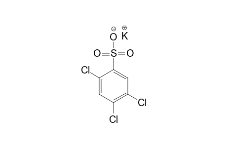 2,4,5-Trichlorobenzenesulfonic acid potassium salt