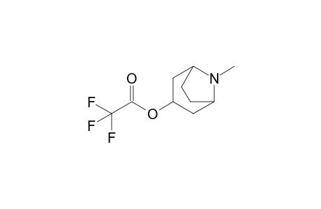 Tropine TFA                   @