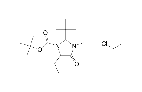 2-Tert-butyl-5-(2-chloroethyl)-5-ethyl-3-methyl-4-oxoimidazolidine-1-carboxylic acid, tert-butyl ester