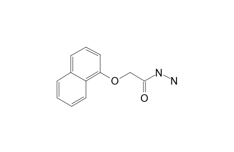 2-(1-Naphthyloxy)acetohydrazide