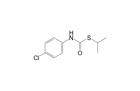 p-chlorothiocarbanilic acid, S-isopropyl ester