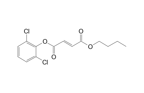 Fumaric acid, butyl 2,6-dichlorophenyl ester