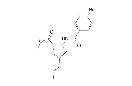 methyl 2-[(4-bromobenzoyl)amino]-5-propyl-3-thiophenecarboxylate