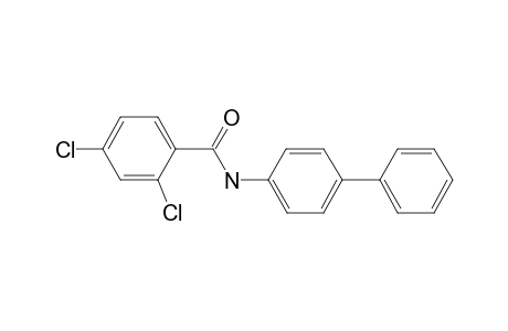 2,4-bis(chloranyl)-N-(4-phenylphenyl)benzamide