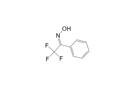 (1Z)-2,2,2-Trifluoro-1-phenylethanone oxime