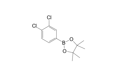 1,2-DICHLORO-4-(4,4,5,5-TETRAMETHYL-1,3,2-DIOXABOROLAN-2-YL)-BENZENE