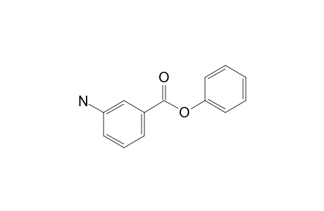 Phenyl m-aminobenzoate