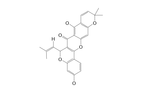 Isocyclomorusin