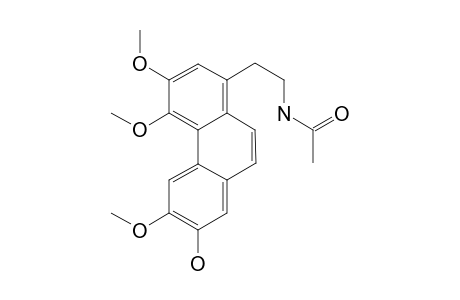 Lauroscholtzine-M/artifact AC