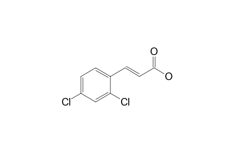 trans-2,4-Dichlorocinnamic acid