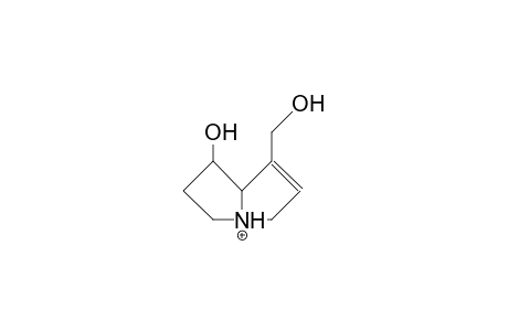 Retronecine cation