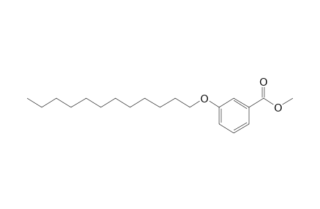m-(dodecyloxy)benzoic acid, methyl ester